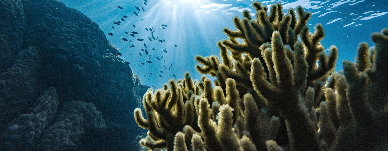 三達膜中水回用、陶瓷膜、石墨烯膜、黑金膜公眾號，歡迎您掃碼關注！